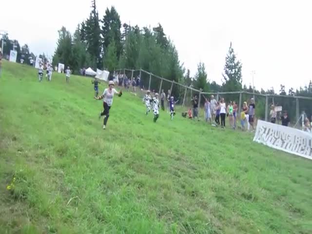 Hilarious Face Plant Fail During a Cheese Rolling Contest  (VIDEO)
