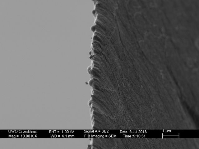 Microscope Images Make Even Normal Stuff Look Strange
