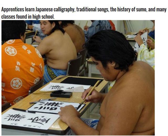 Becoming a Sumo Wrestler Is Harder Than You Think