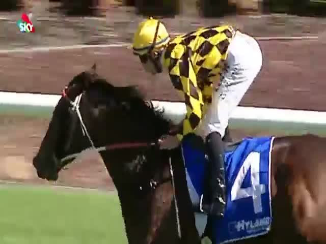 Horse Jockey in a 'Cracking' Finish  (VIDEO)
