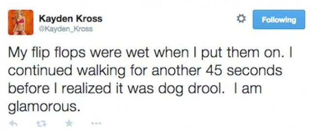 The Funniest Tweets from Porn Stars on Twitter