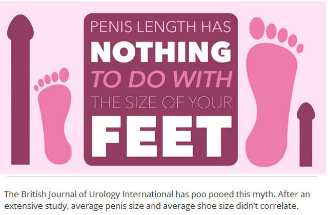 Things You Probably Didn’t Know about Penises in General