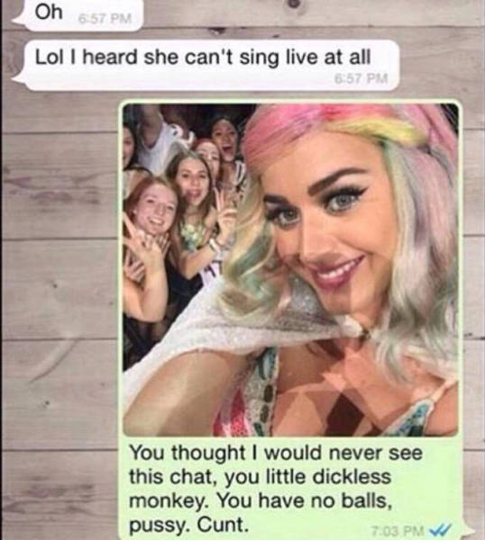 Katy Perry Has the Last Laugh with a Fan’s Ex-boyfriend During a Live Concert
