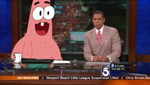 Compilation Of The Best Live News Bloopers In Gifs