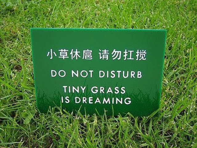 Asian Translation Fails That Are Both Hilarious And Bloodcurdling