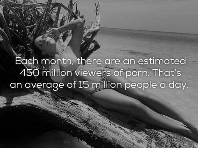 Some Interesting Porn Facts