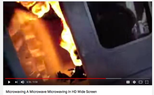 What Happens To The Things You’re Not Supposed To Microwave