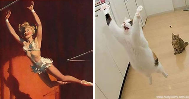So That’s Why Cats Are So Popular! Pinup Girls Have Got A Tough Competitor