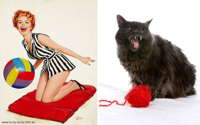 So That’s Why Cats Are So Popular! Pinup Girls Have Got A Tough Competitor